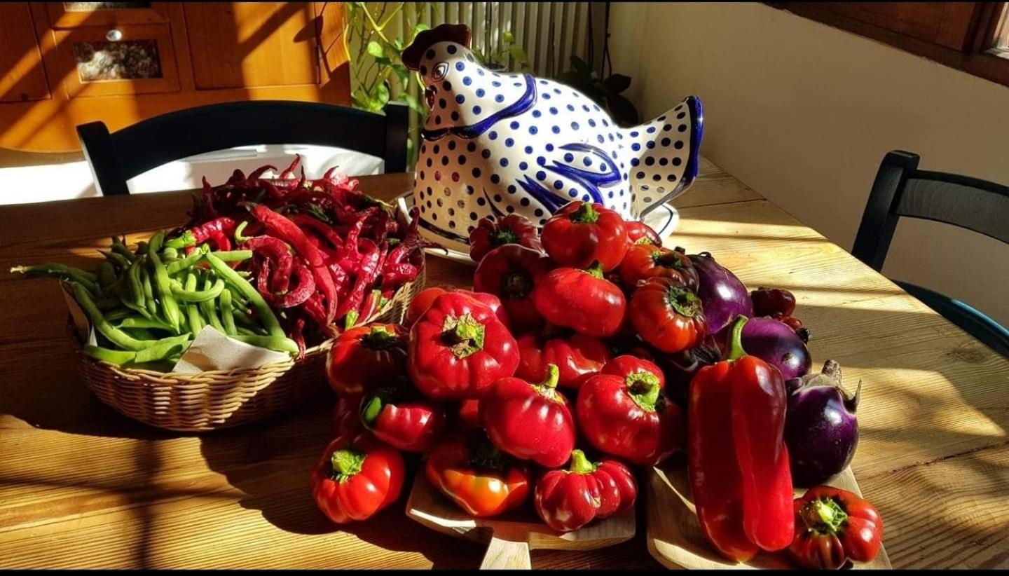 Il Giardino Di Frafa Apartman Quartu SantʼElena Kültér fotó